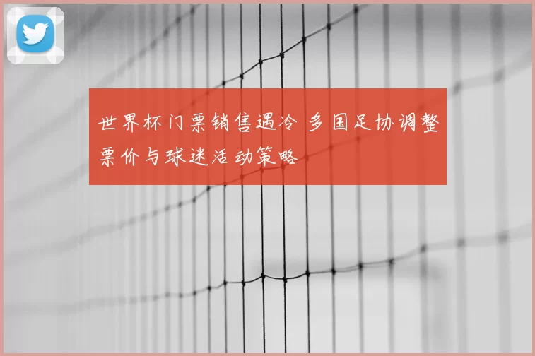 世界杯门票销售遇冷 多国足协调整票价与球迷活动策略