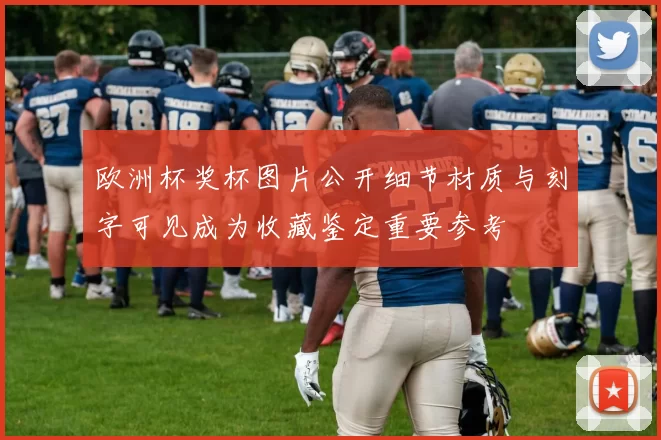 欧洲杯奖杯图片公开细节材质与刻字可见成为收藏鉴定重要参考