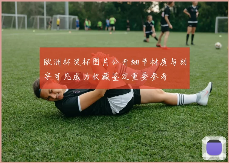 欧洲杯奖杯图片公开细节材质与刻字可见成为收藏鉴定重要参考