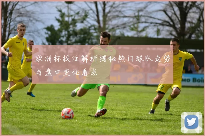 欧洲杯投注解析揭秘热门球队走势与盘口变化看点