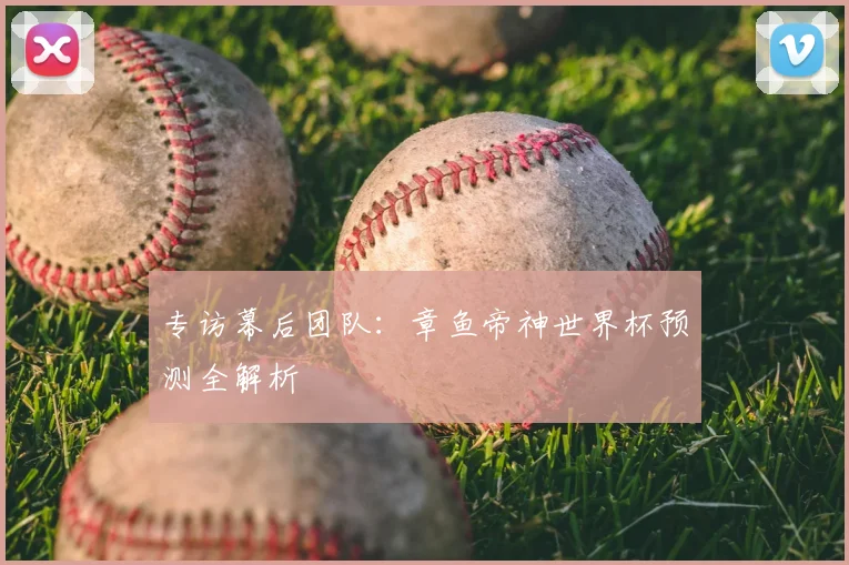 专访幕后团队:章鱼帝神世界杯预测全解析